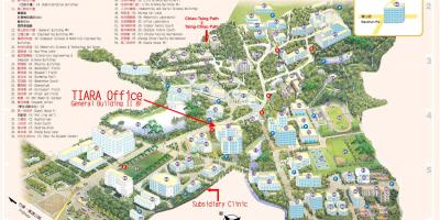 Tsinghua უნივერსიტეტის კამპუსში რუკა